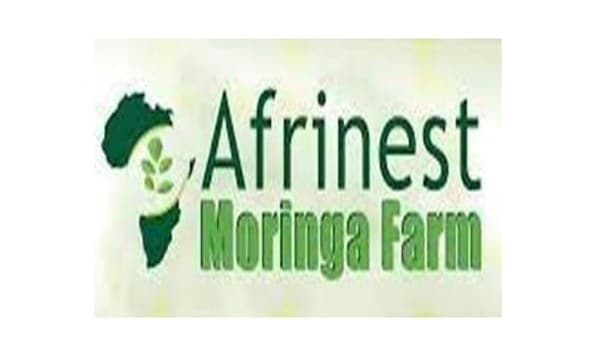 AfriNest Moringa Farm