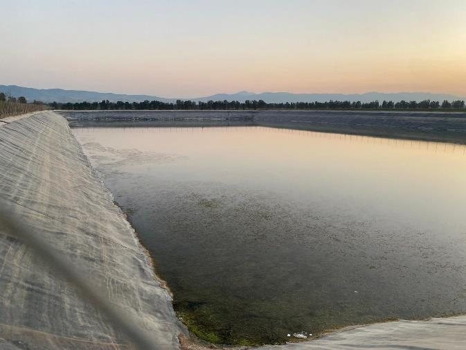 Le bassin d'irrigation du Groupe EL HILAL, 200 x 100 x 12 mètres, Sidi Moussa (Algérie).
